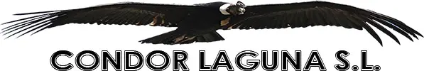 logo-condor-laguna